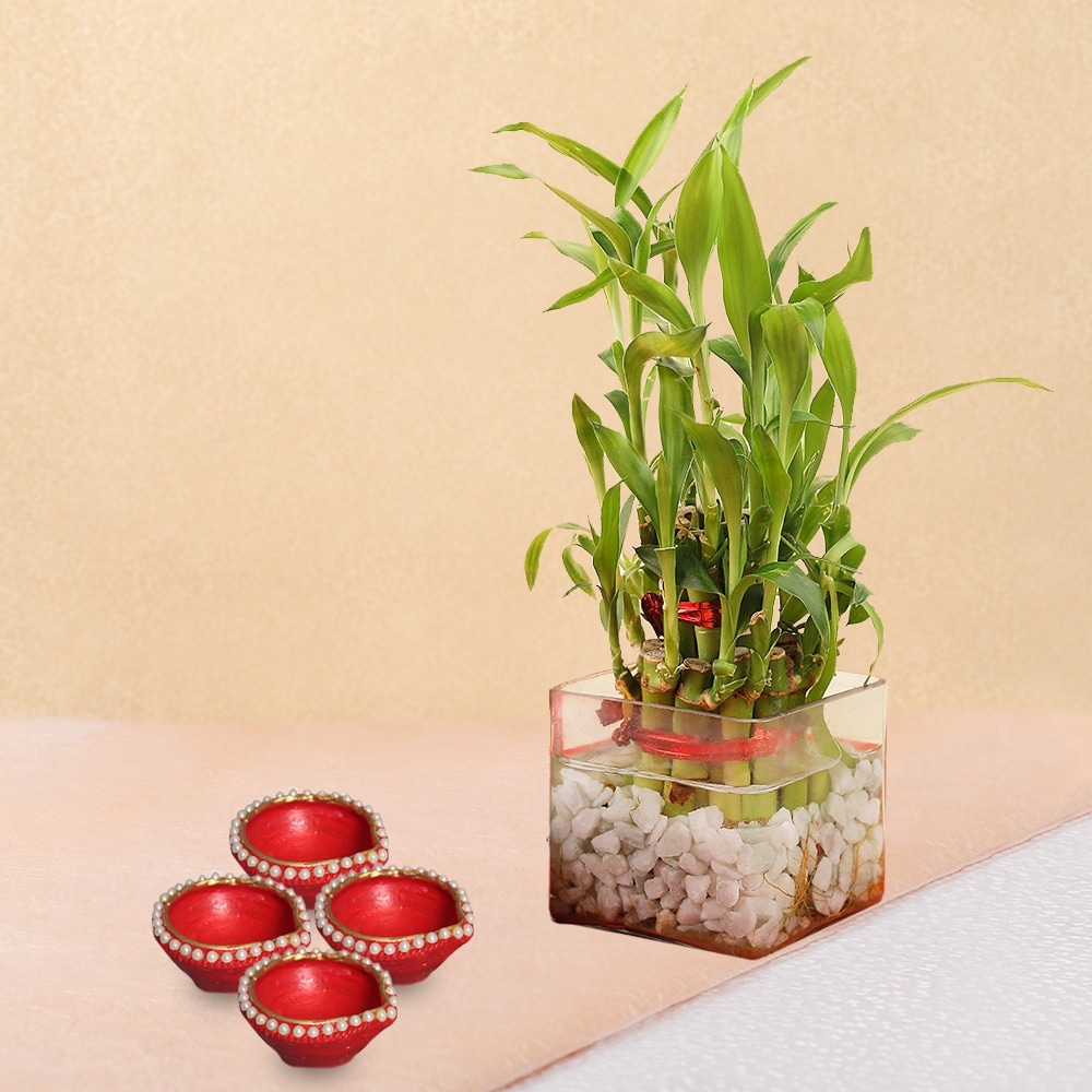  A Basket of Glee