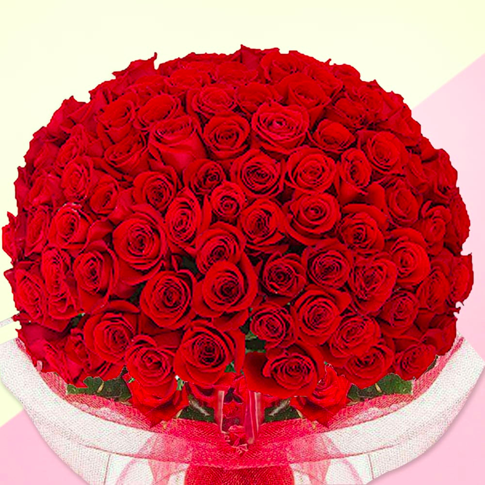  Lovers Bloom