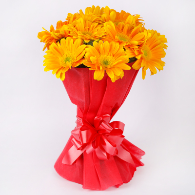  Happy Splashy Gerberas
