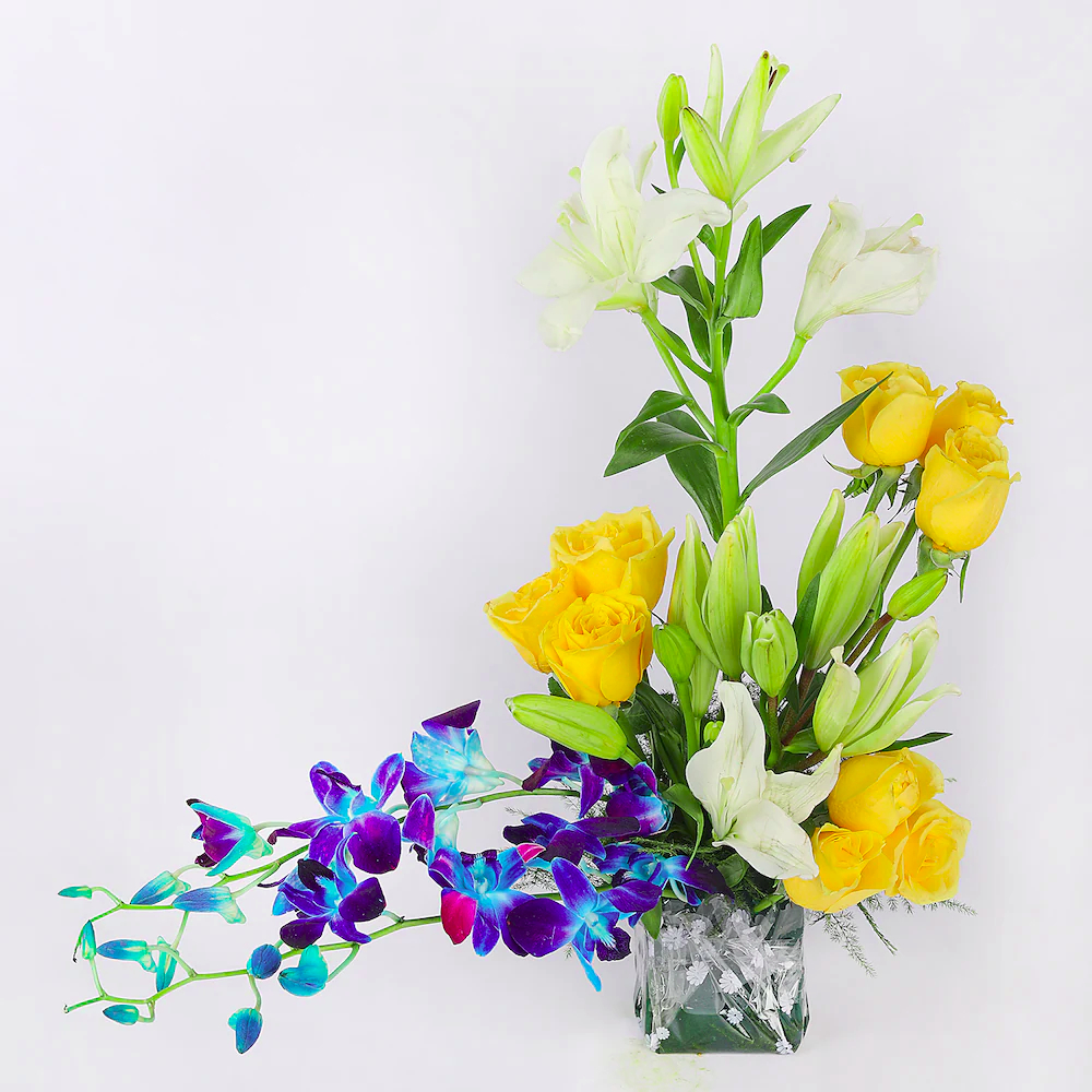  Blissfull Lillies