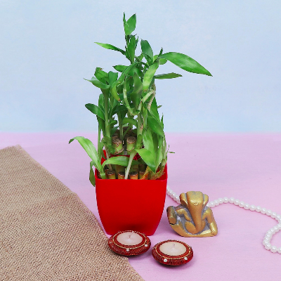 Little Ganesha With Plant & Diyas