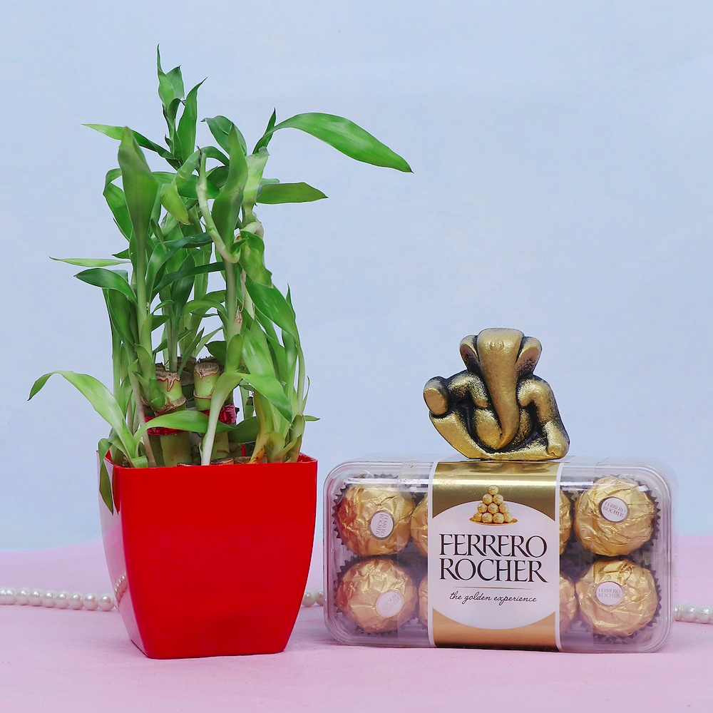  Bamboo Plant With ChocoGanesha Combo