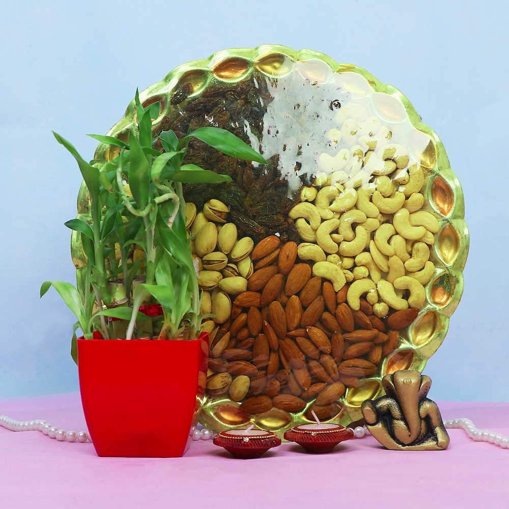  Nutritious Hamper with Ganesha & plant combo