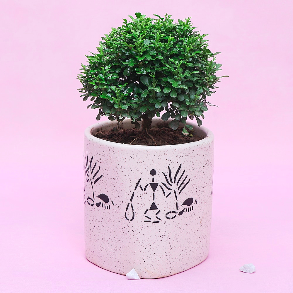  White Potted Table Kamini
