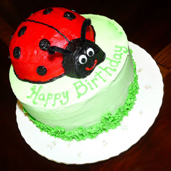  Delicious Ladybug Cake