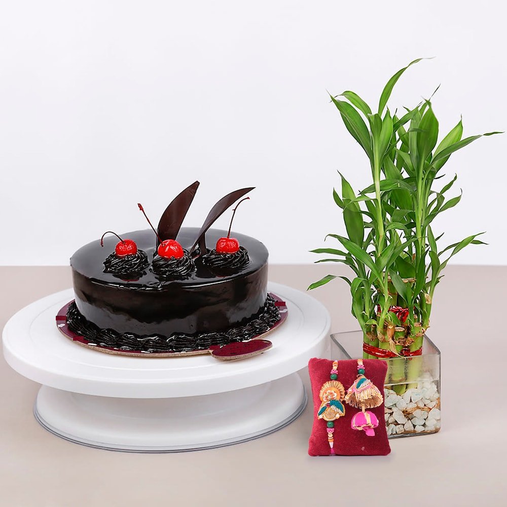  Duo Rakhis Bamboo Plant N Choco Cake