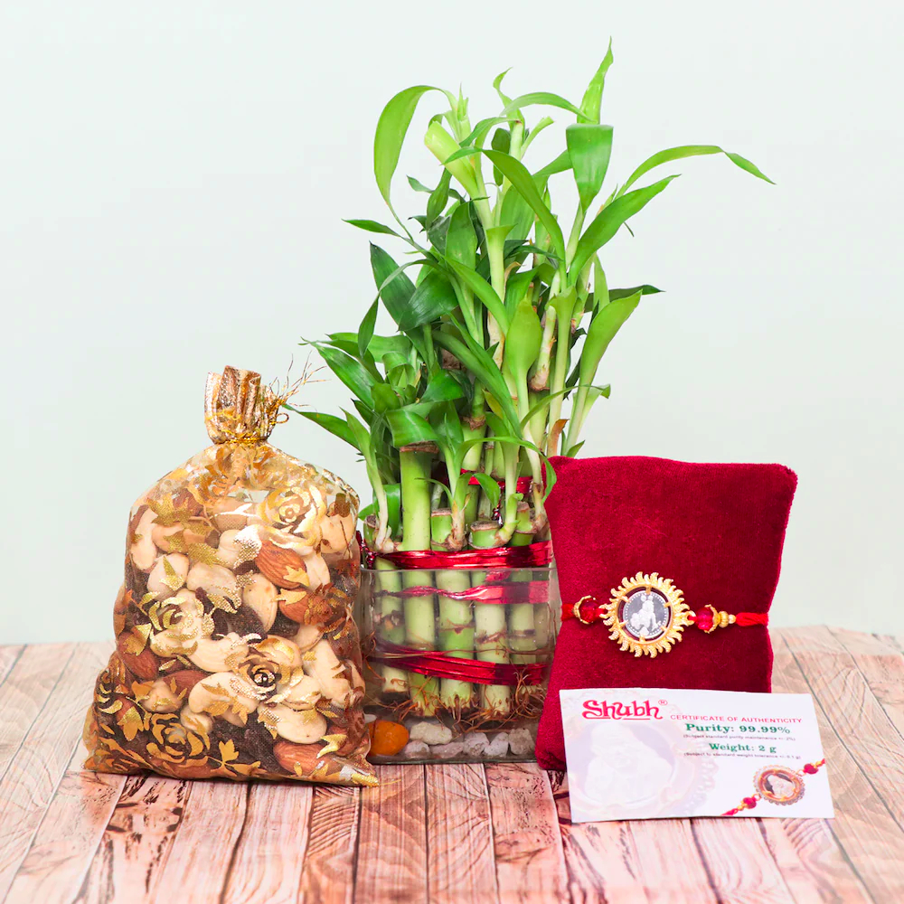  Healthy N Divine Krishna Silver Rakhi Combo