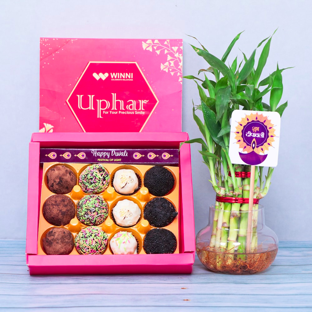  Plant and Gifting Choco Box
