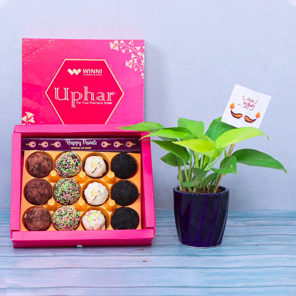 Premium Chocolates Box and Plant Hamper