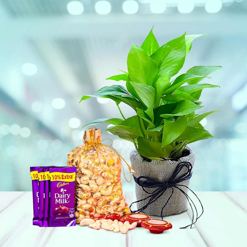  Luxurious Hamper of Diwali