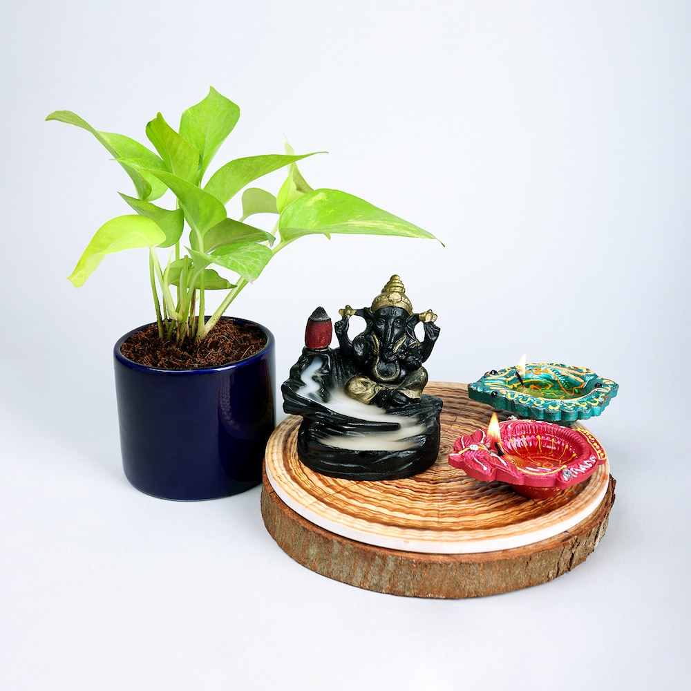  Hamper Of Money Plant Smoking Fountain Diya