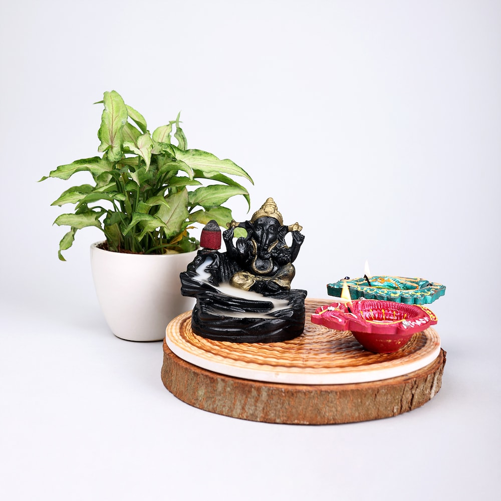  Jade Plant With Smoking Fountain Diya Combo
