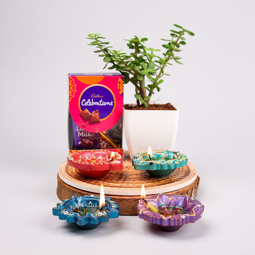  Hamper Of Celebrations Pack Jade Plant Diya