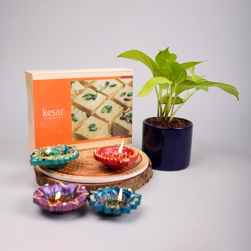  Soan Papdi With Diya And Money Plant Hamper