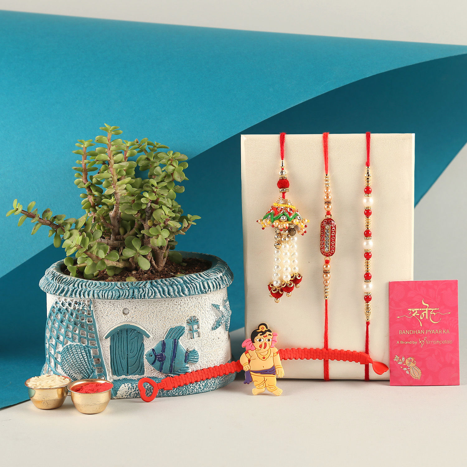  Divine Rakhi Set Of 4 & Jade Plant